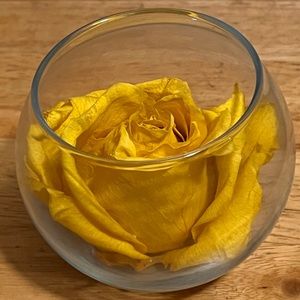 Eternity rose in glass bowl- yellow rose